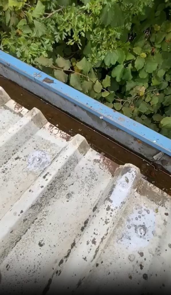 How Regular Gutter Cleaning Saves Birmingham Homeowners Money?